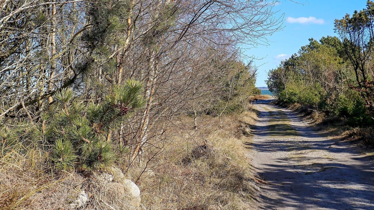 Photo of Outdoor in Thyholm