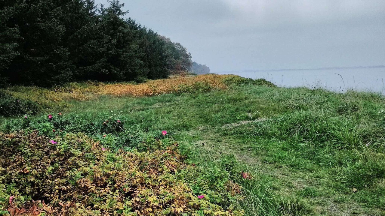 Photo of Others in Thyholm