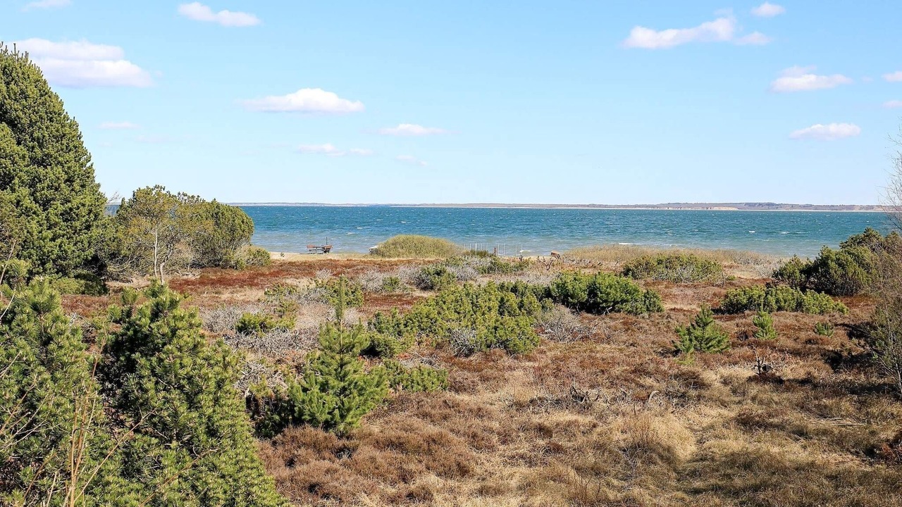 Photo of Outdoor in Thyholm