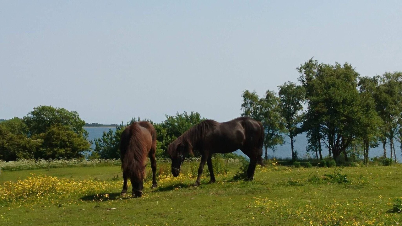 Photo of Others in Aabenraa