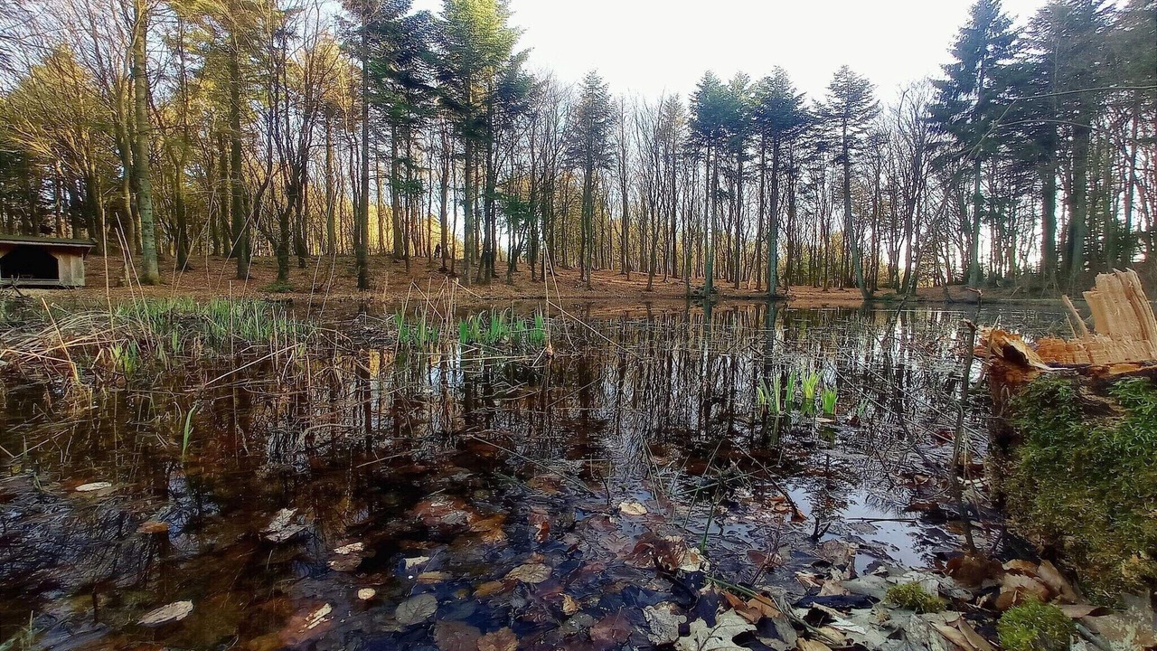 Photo of Others in Vestervig