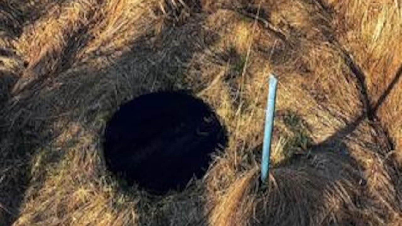 Photo of Others in Blokhus