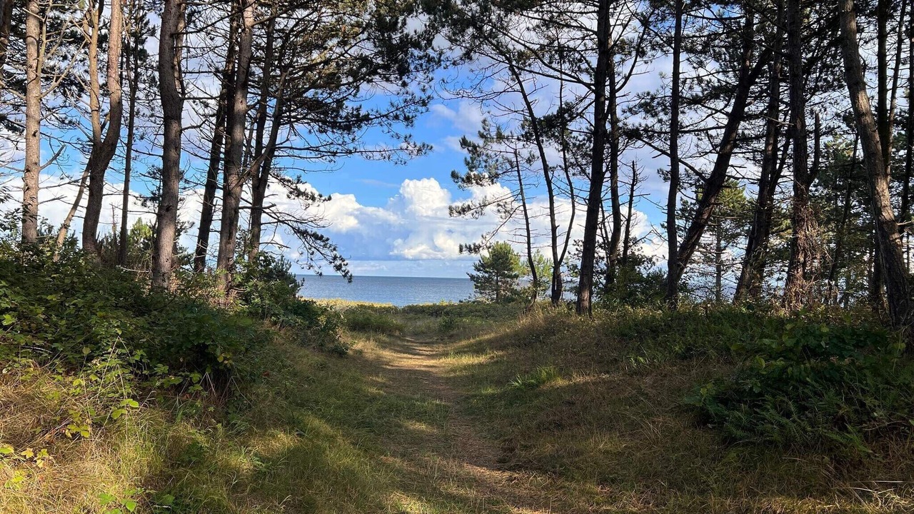 Photo of Others in Vibæk Strand