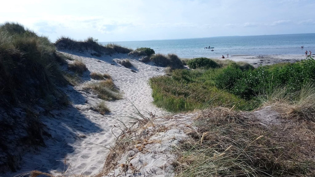 Photo of Others in Læsø