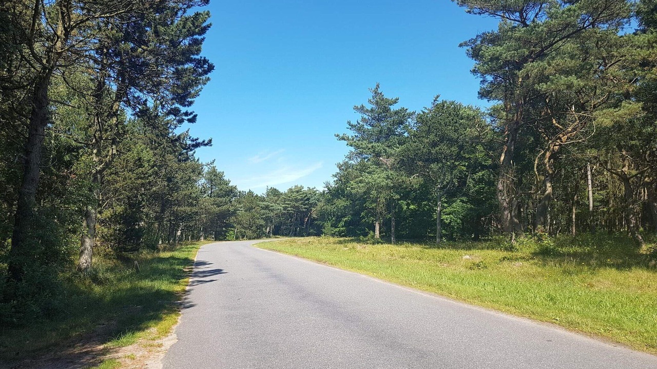 Photo of Others in Læsø