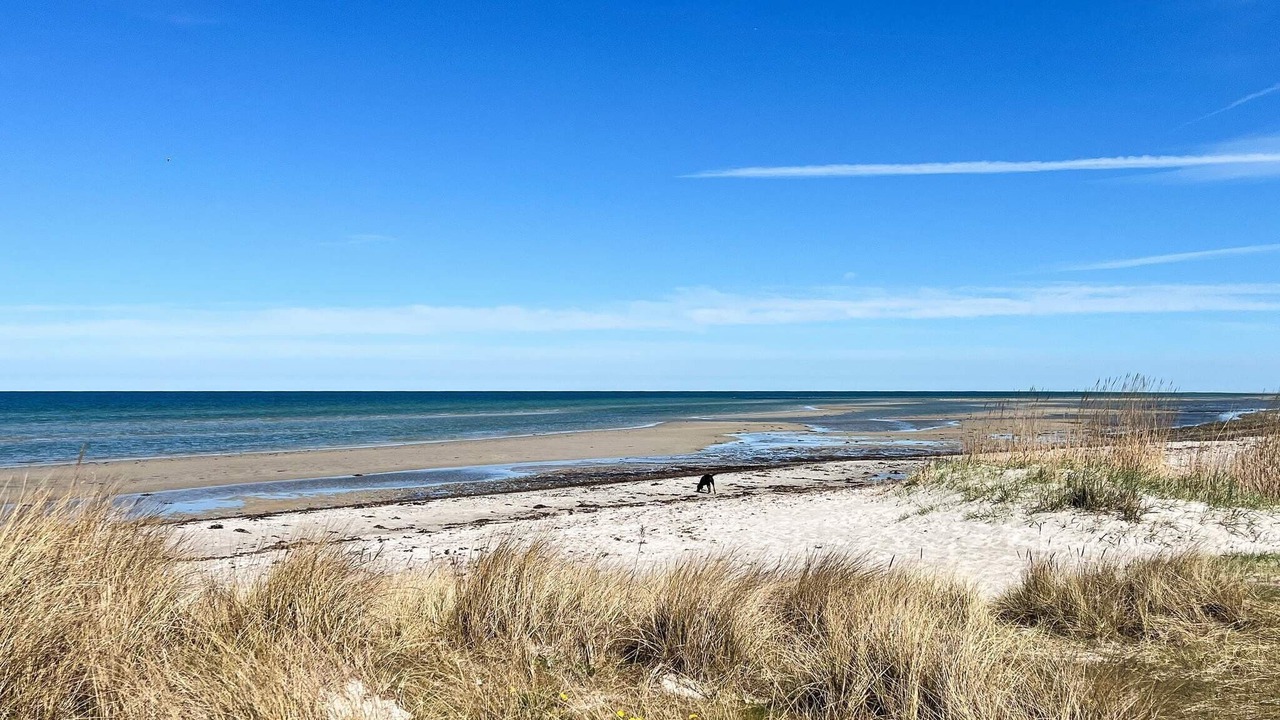 Photo of Others in Grena Strand