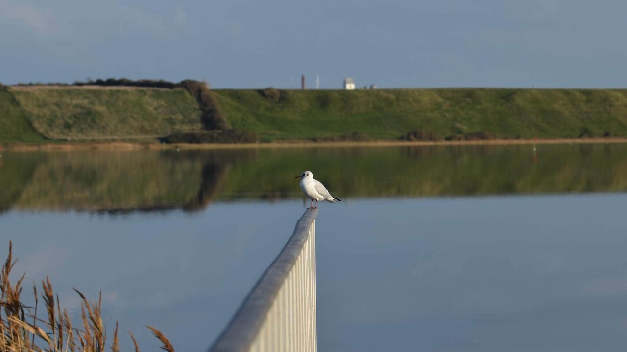 Photo of Others in Vrist Strand
