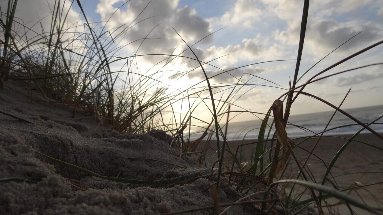 Photo of Others in Vrist Strand