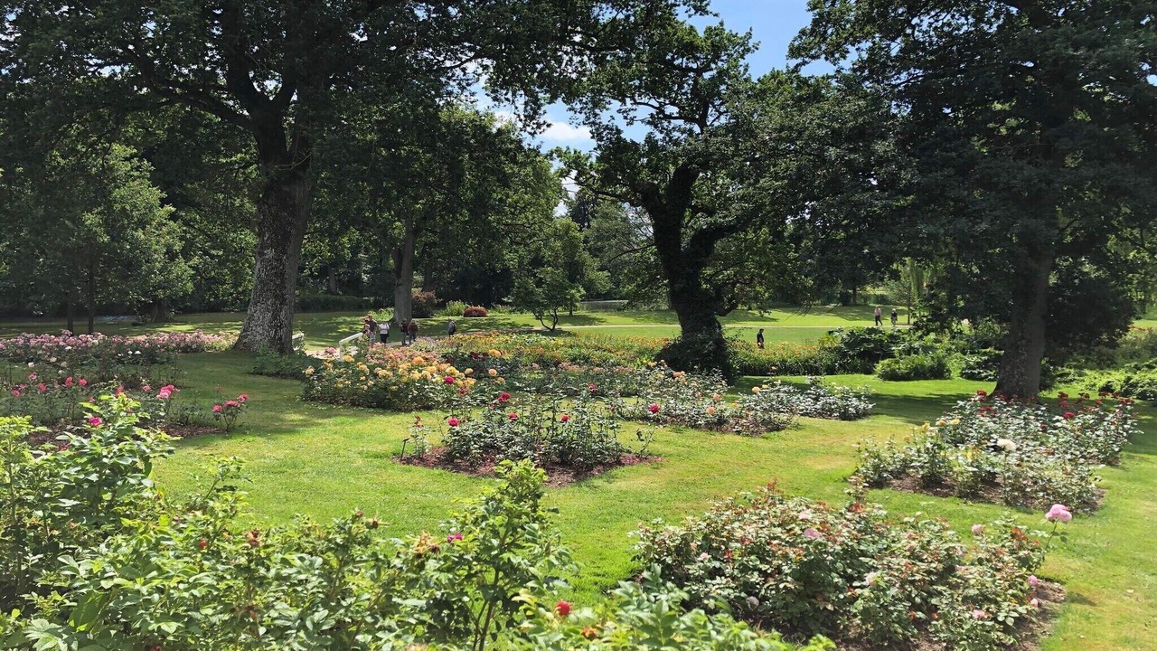 Photo of Outdoor in Grasten
