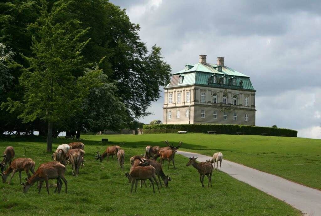 Photo of Outdoor in Charlottenlund