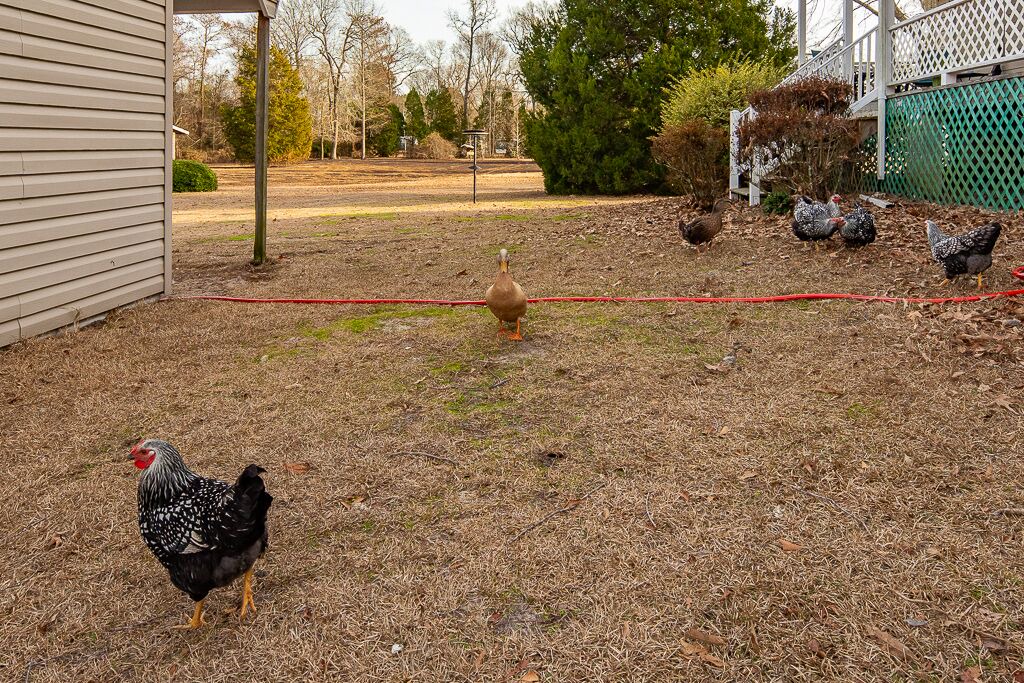 Photo of Outdoor in New Bern