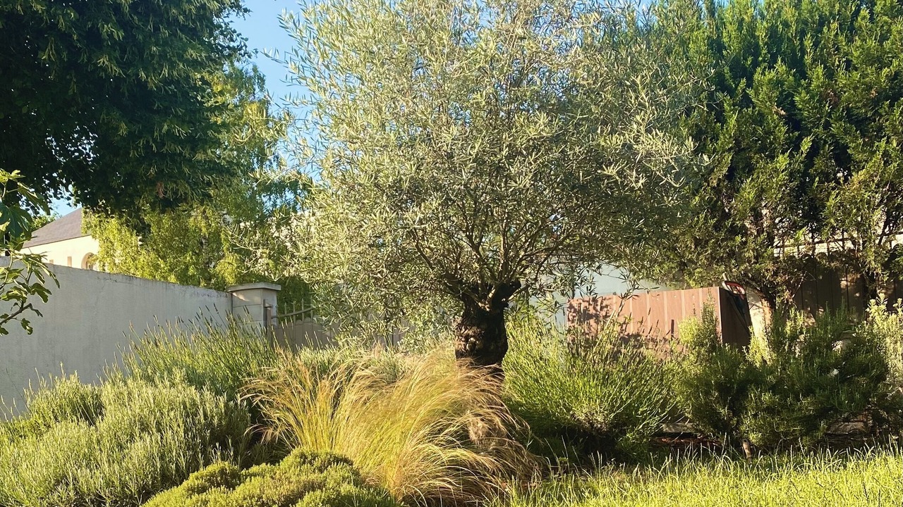 Photo of Outdoor in Rueil-Malmaison