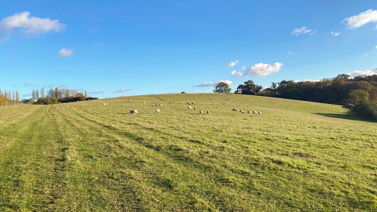 Photo of Others in Ware