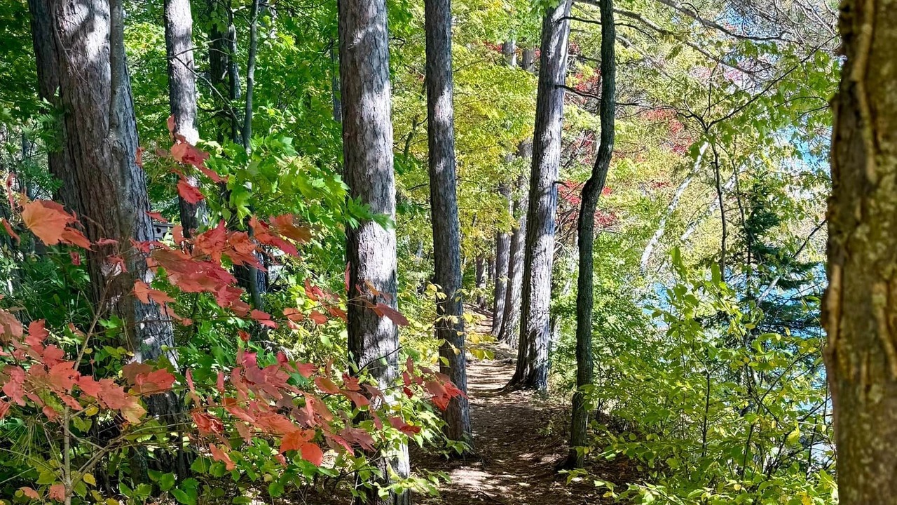 Photo of Others in Mauricie