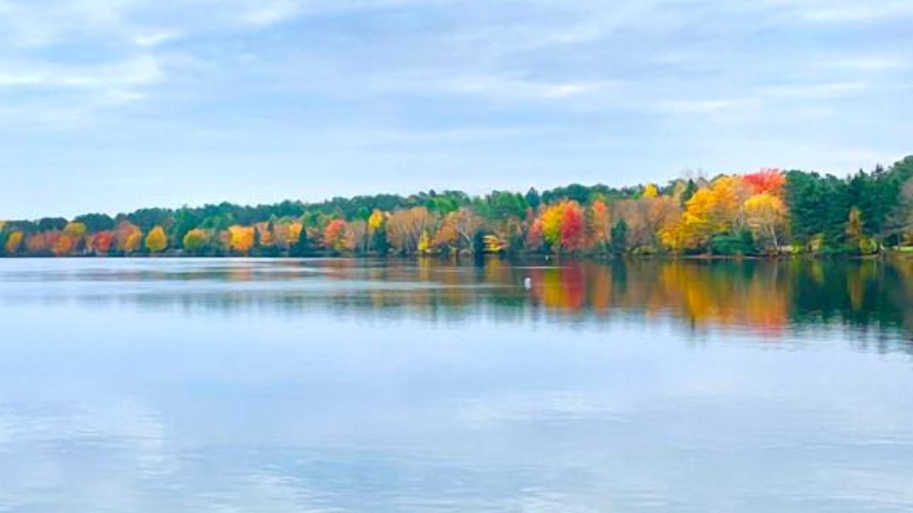 Photo of Others in Mauricie
