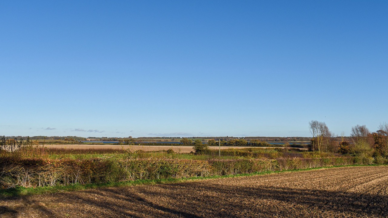 Photo of Others in Martlesham Heath