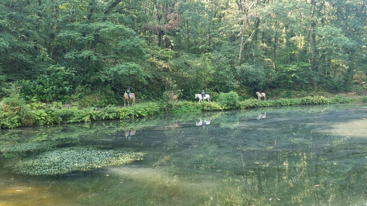 Photo of Others in Liskeard