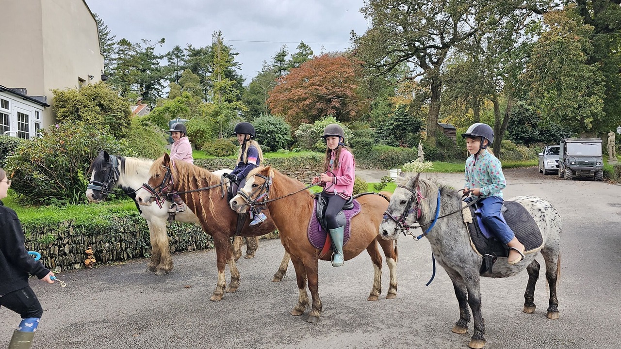 Photo of Others in Liskeard