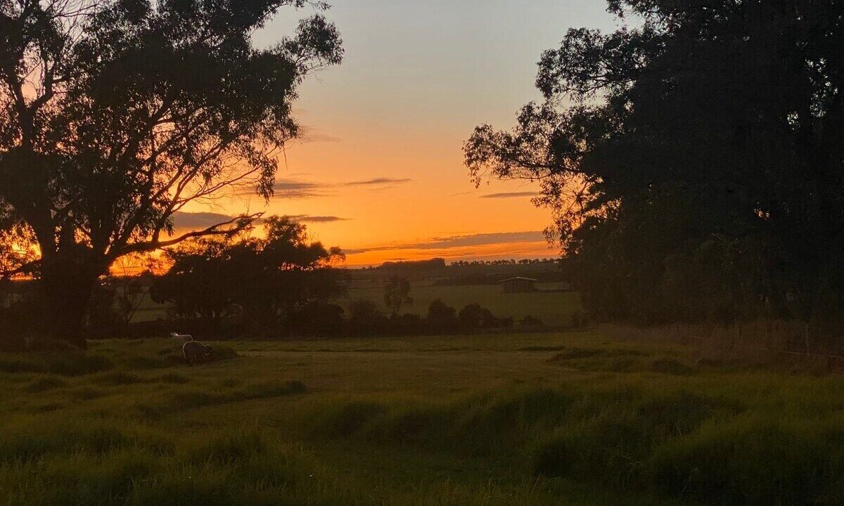 Photo of Others in Alberton West