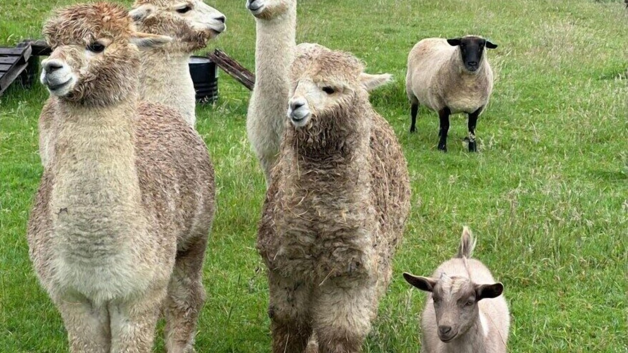 Photo of Outdoor in Alberton West