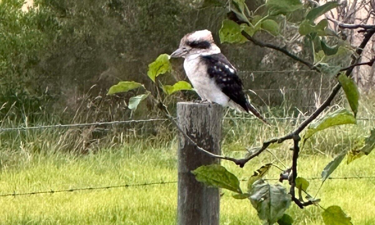 Photo of Outdoor in Alberton West