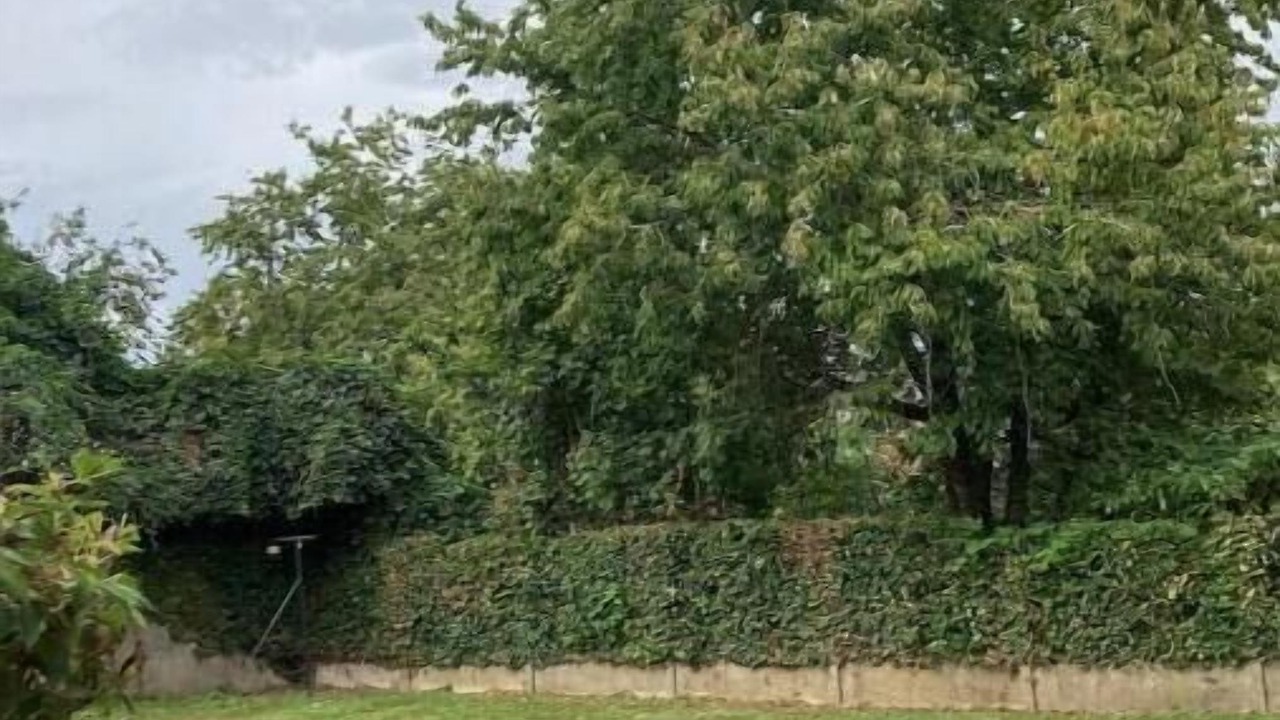 Photo of Outdoor in Courcelles-le-Comte