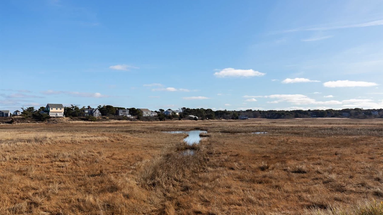 Photo of Others in North Eastham