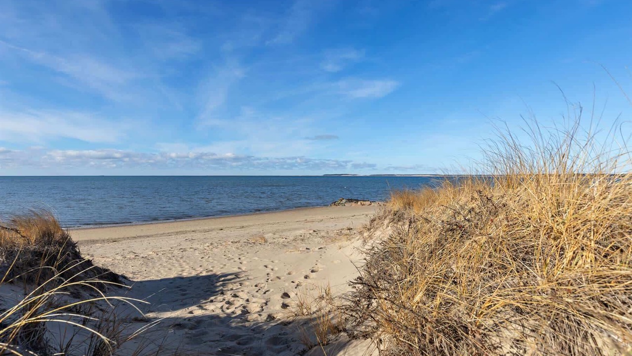 Photo of Others in North Eastham