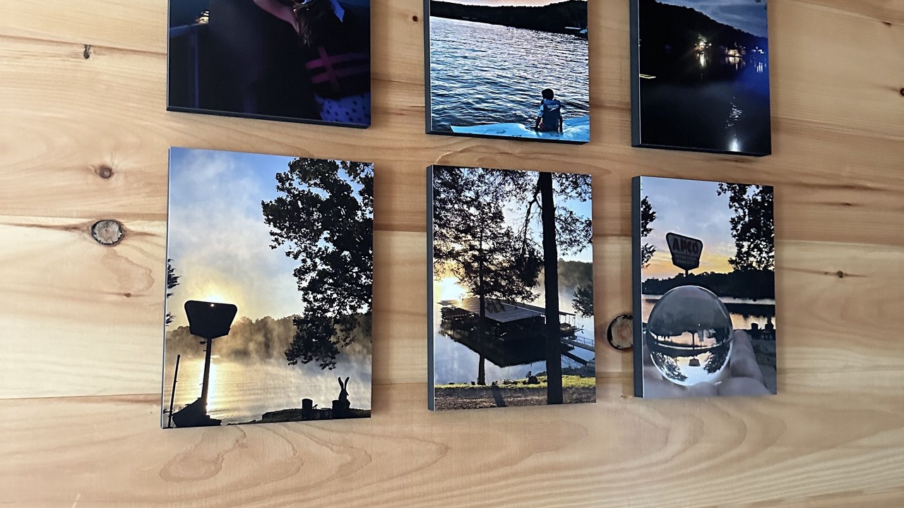 Photo of Others in Roach