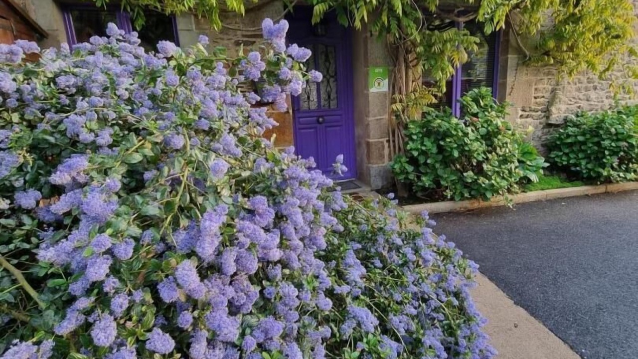 Photo of Outdoor in Pleine-Fougeres