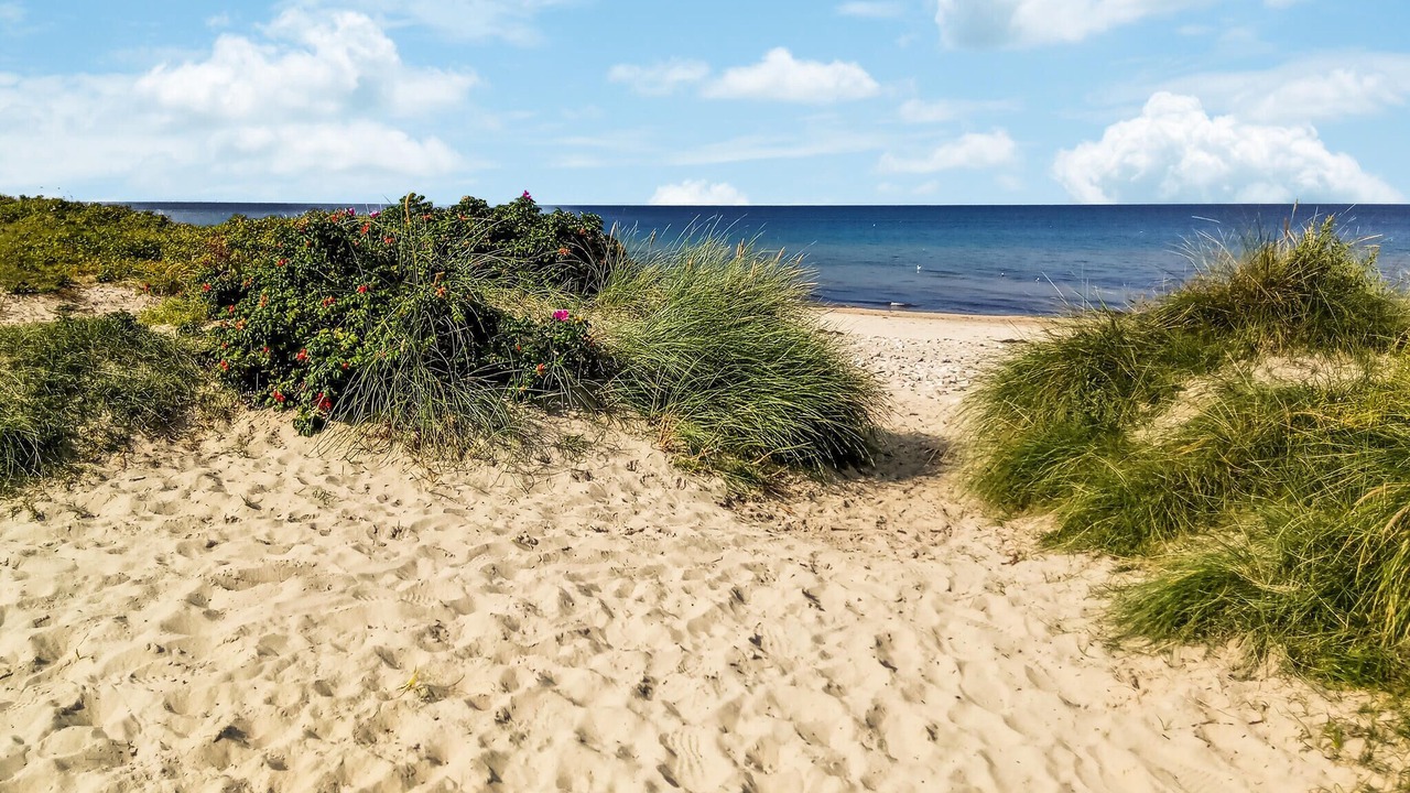 Photo of Others in Udsholt Sand