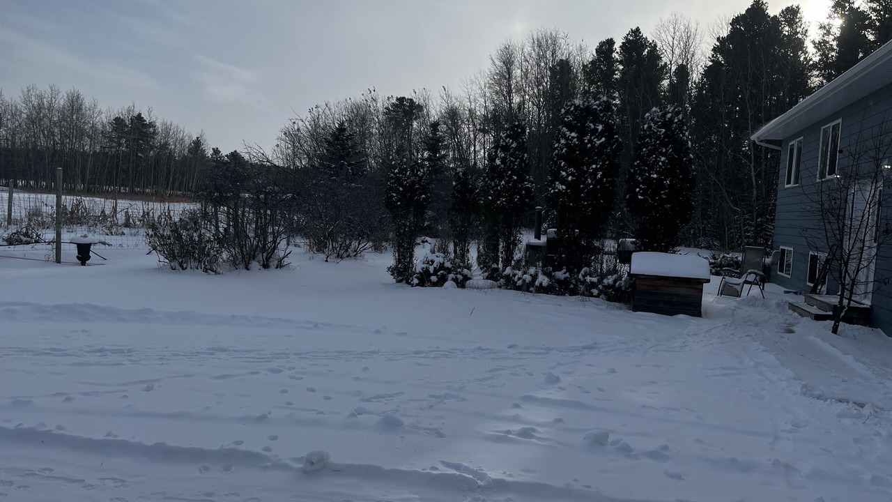 Photo of Outdoor in Nipawin