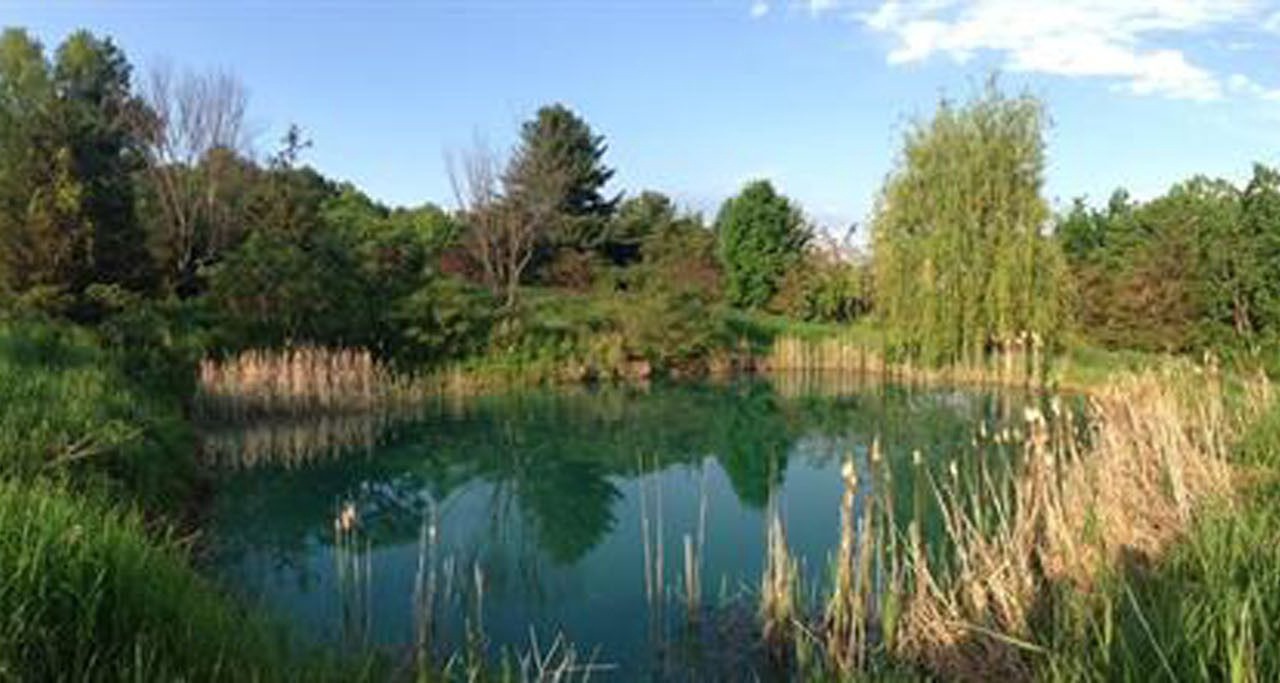 Photo of Others in Ferrisburg