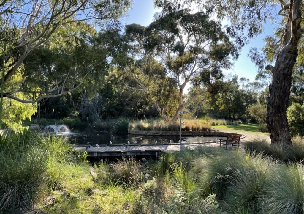 Photo of Outdoor in Frankston