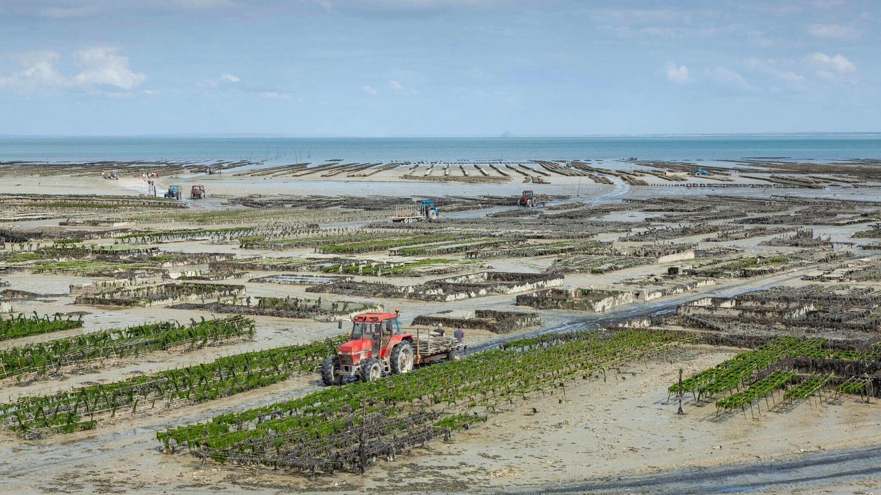 Photo of Others in Cancale