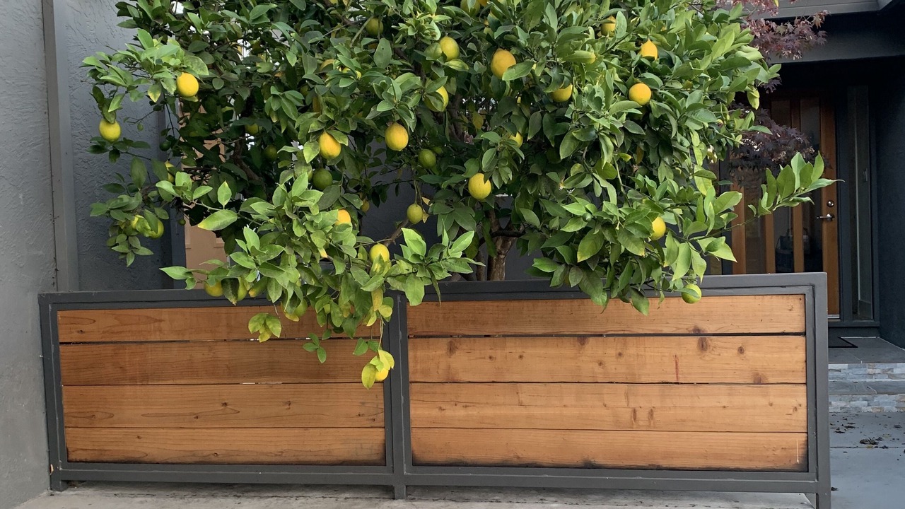 Photo of Outdoor in Yountville