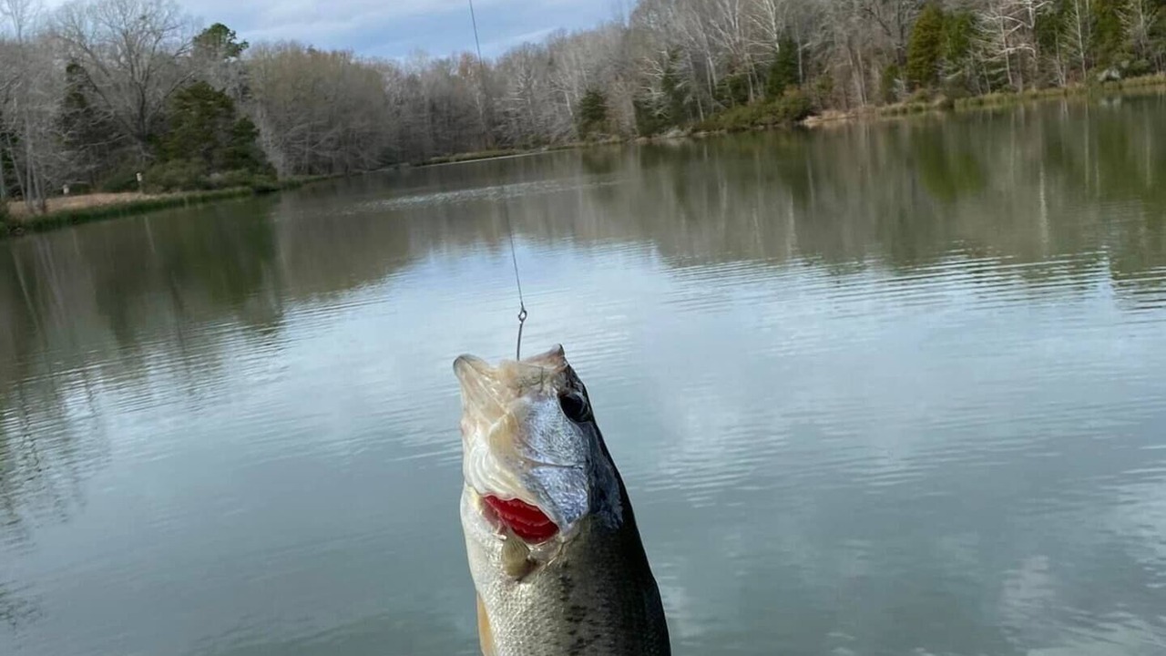 Photo of Others in Lindale