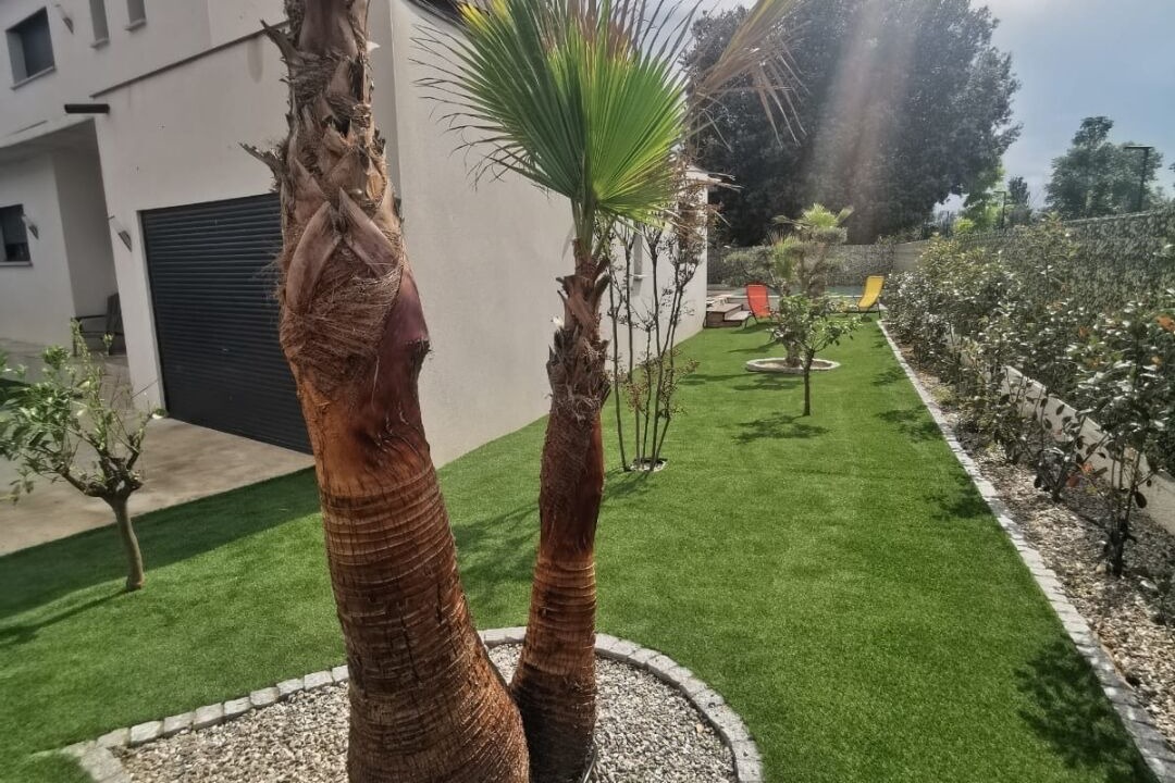 Photo of Outdoor in Saint-Cyprien