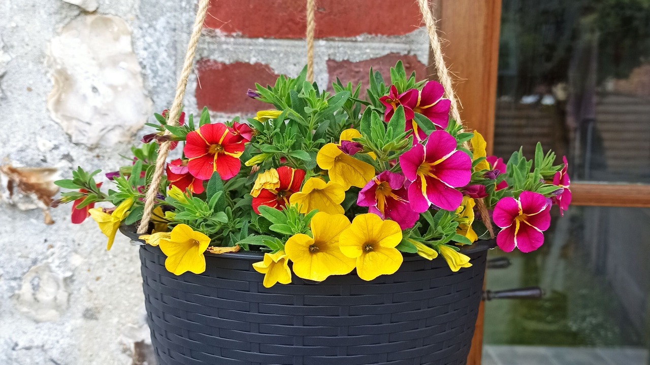 Photo of Outdoor in Cuverville