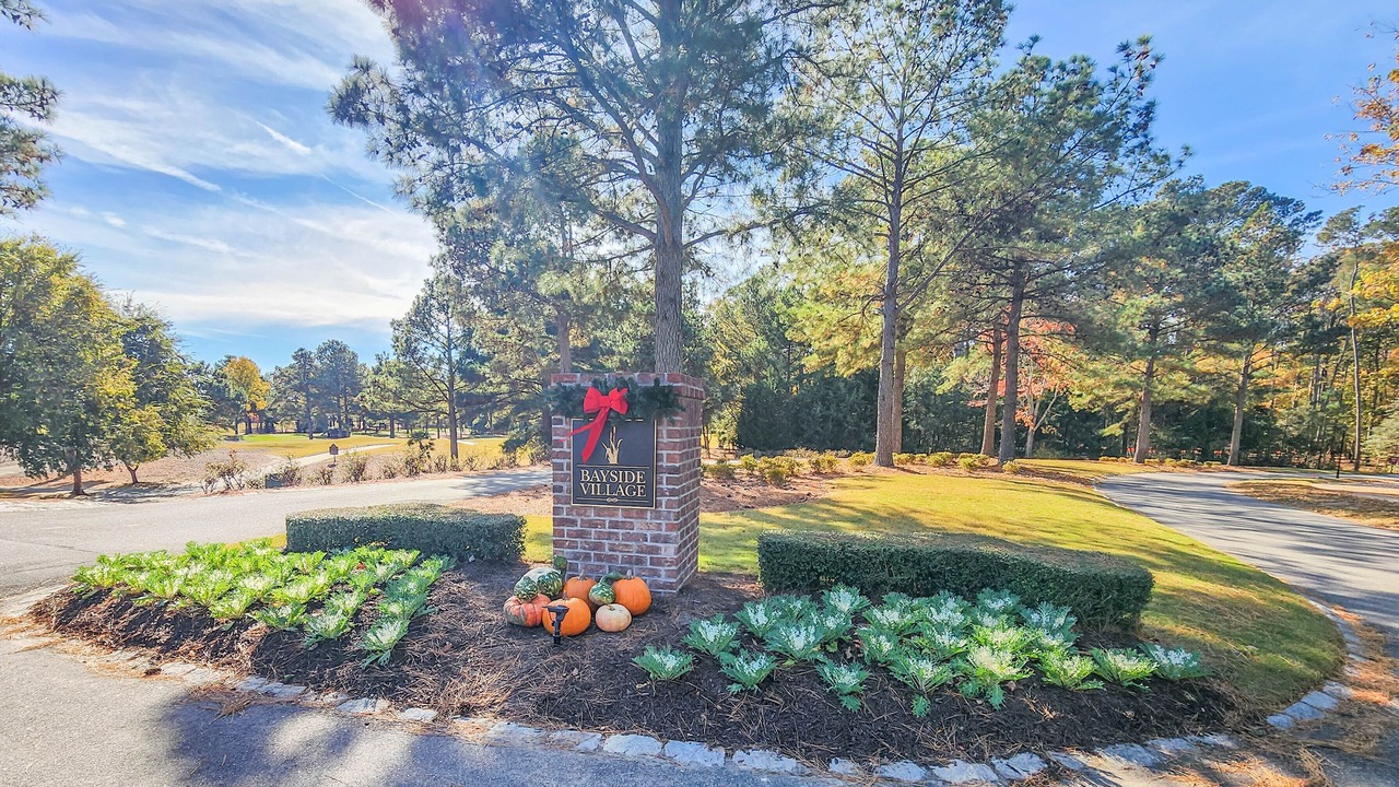 Photo of Outdoor in Cape Charles