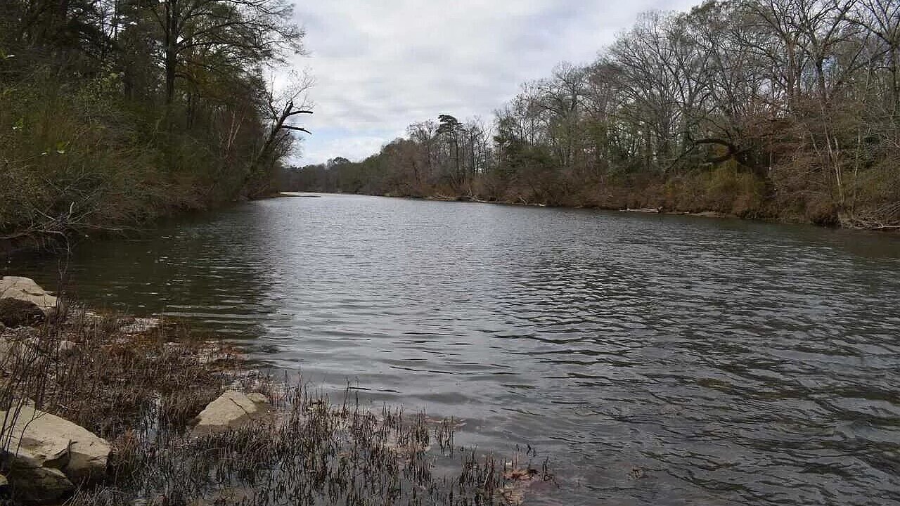 Photo of Outdoor in Hatfield