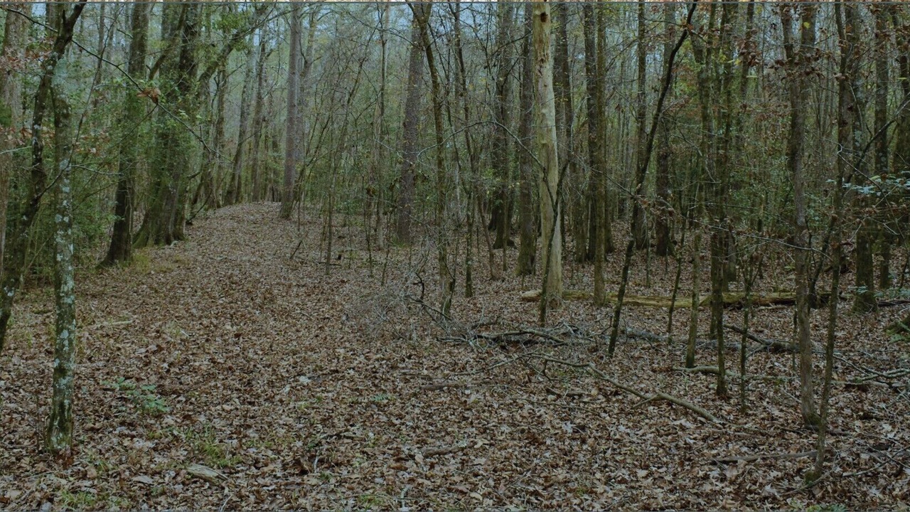 Photo of Outdoor in Hatfield