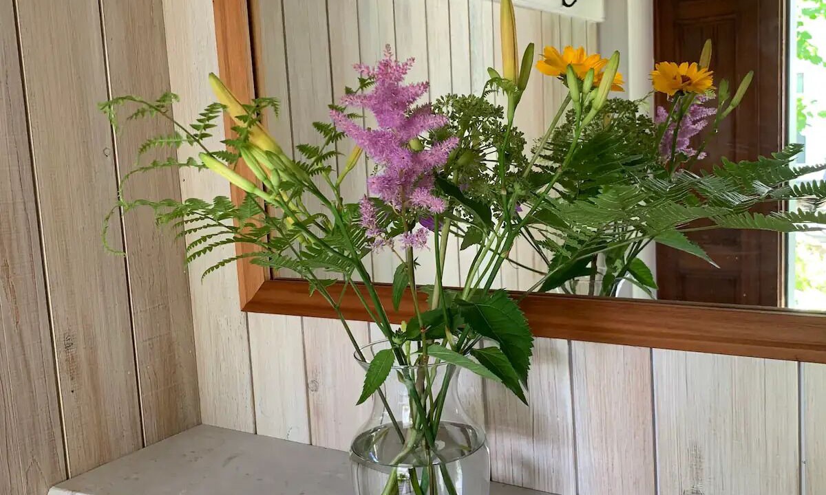 Photo of Others in Bath