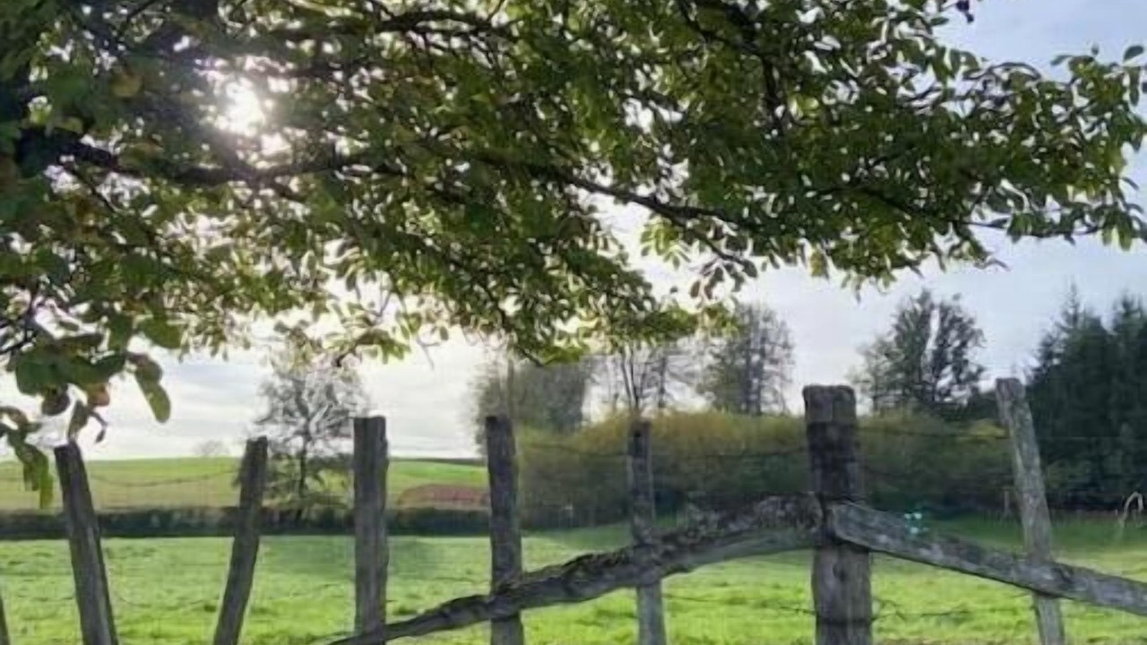 Photo of Outdoor in La Guiche