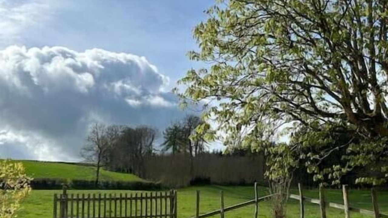 Photo of Outdoor in La Guiche