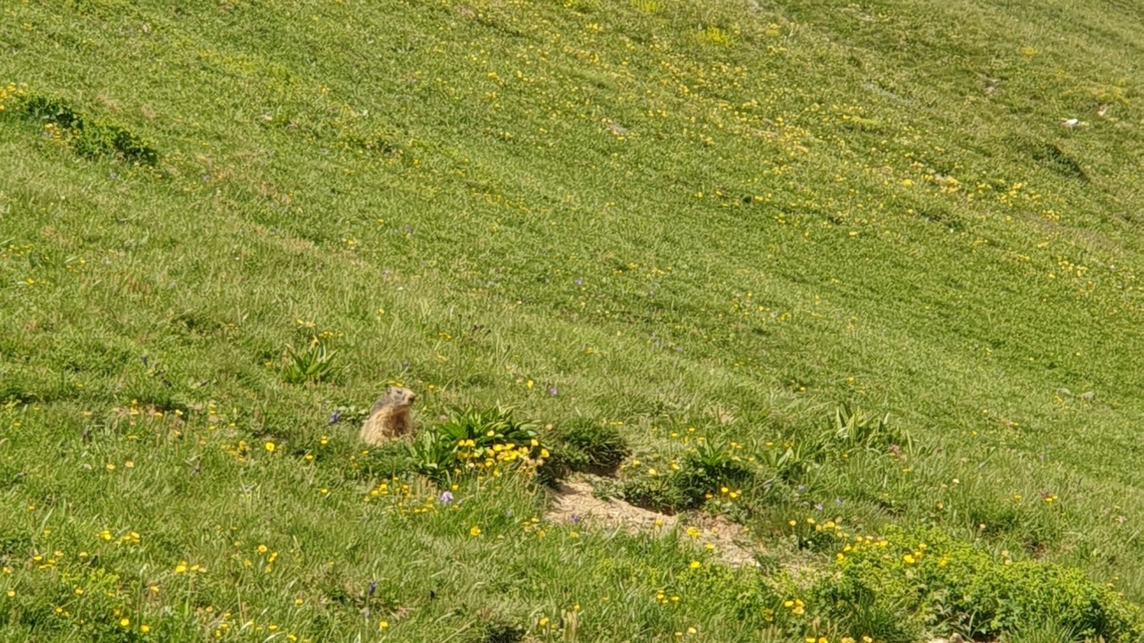 Photo of Others in Bozel