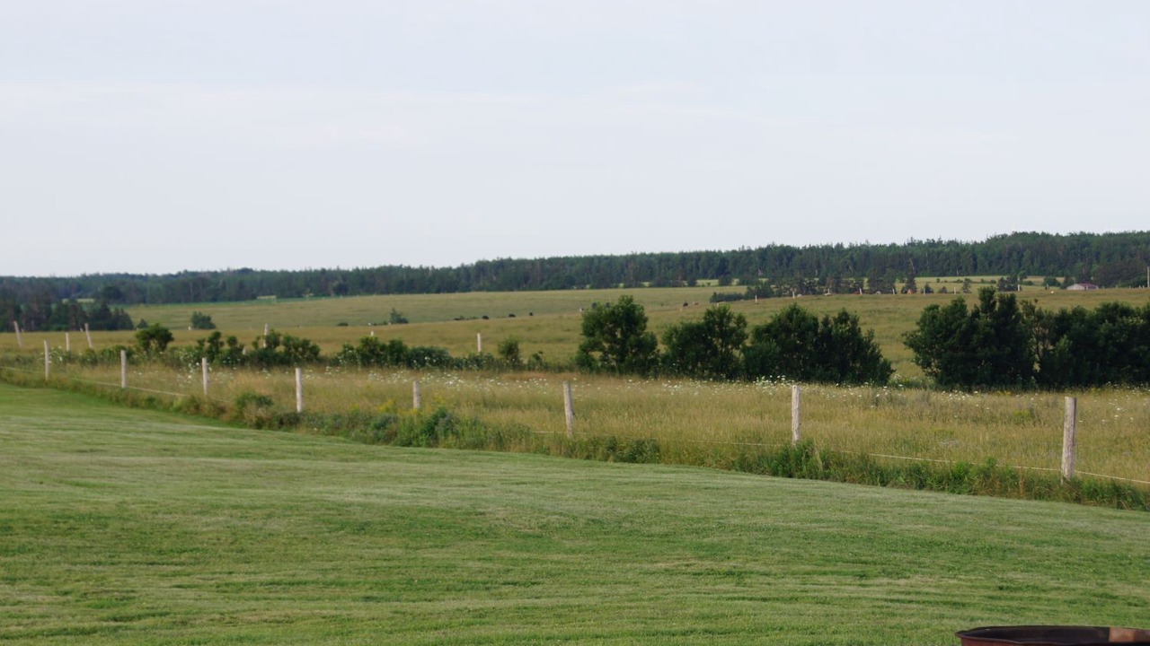 Photo of Others in Prince County