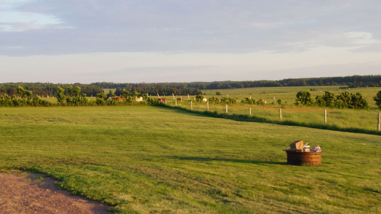Photo of Outdoor in Prince County