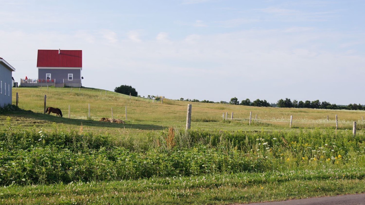 Photo of Outdoor in Prince County