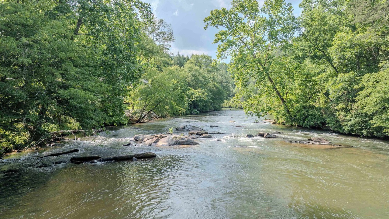 Photo of Others in East Ellijay